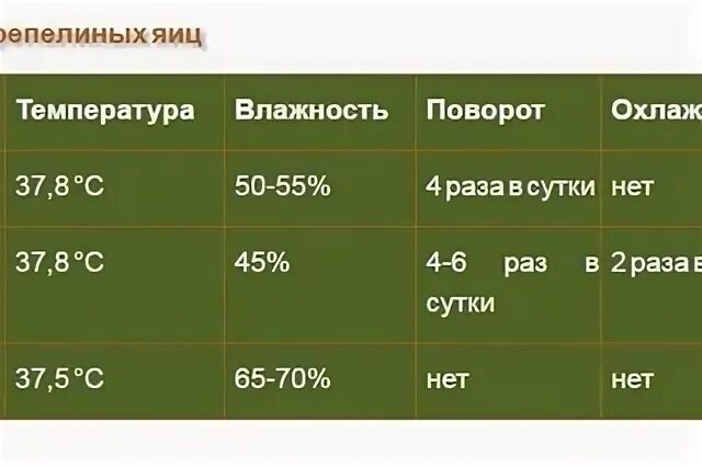 Режим инкубации перепелов. Инкубация перепелиных яиц в инкубаторе. Таблица инкубации перепелов. Таблица вывода перепелов в инкубаторе блиц 72. Влажность в инкубаторе для перепелиных яиц таблица.