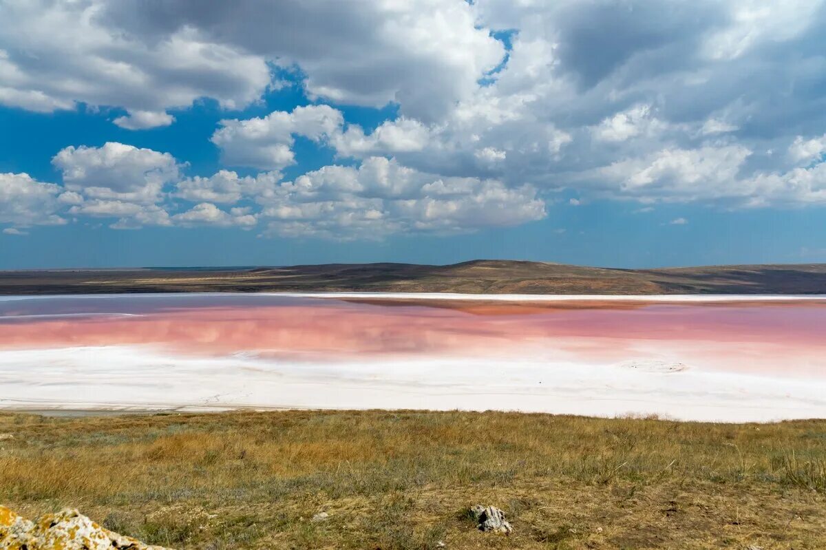 Розовый водоем в крыму. Кояшское соленое озеро в Крыму. Кояшское розовое озеро в Крыму. Мыс Опук розовое озеро. Розовые озера Крым Яковенково.