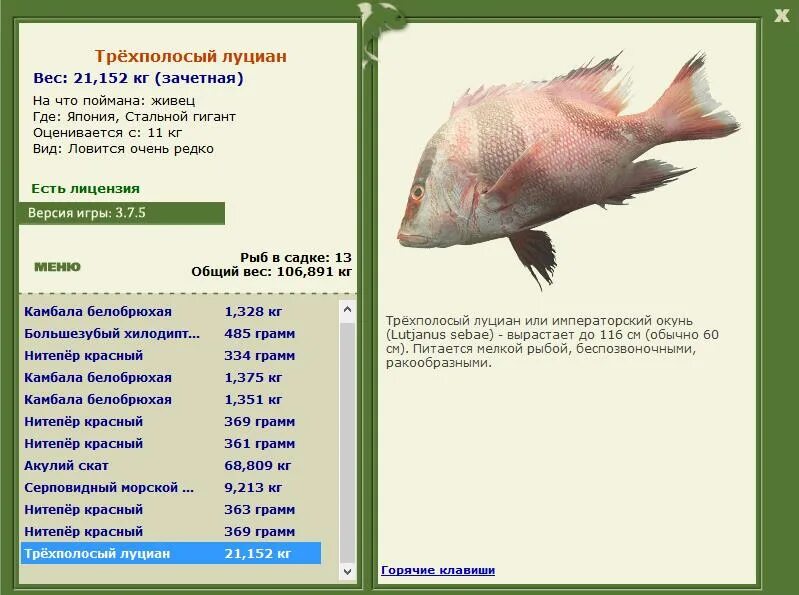 Луциан 3.3. Трехполосый луциан. Луциан Императорский красный (луциан трехполосый). Пятнистый луциан. Серый луциан.