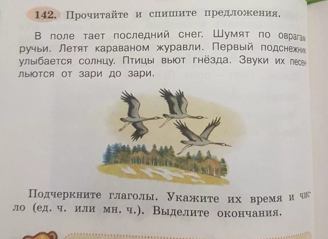 На широких полях какое предложение. Прочитайте спишите. Прочитайте спишите предложения. Прочитайте и спишите предложения.в поле тает. Прочти предложения и спишите.