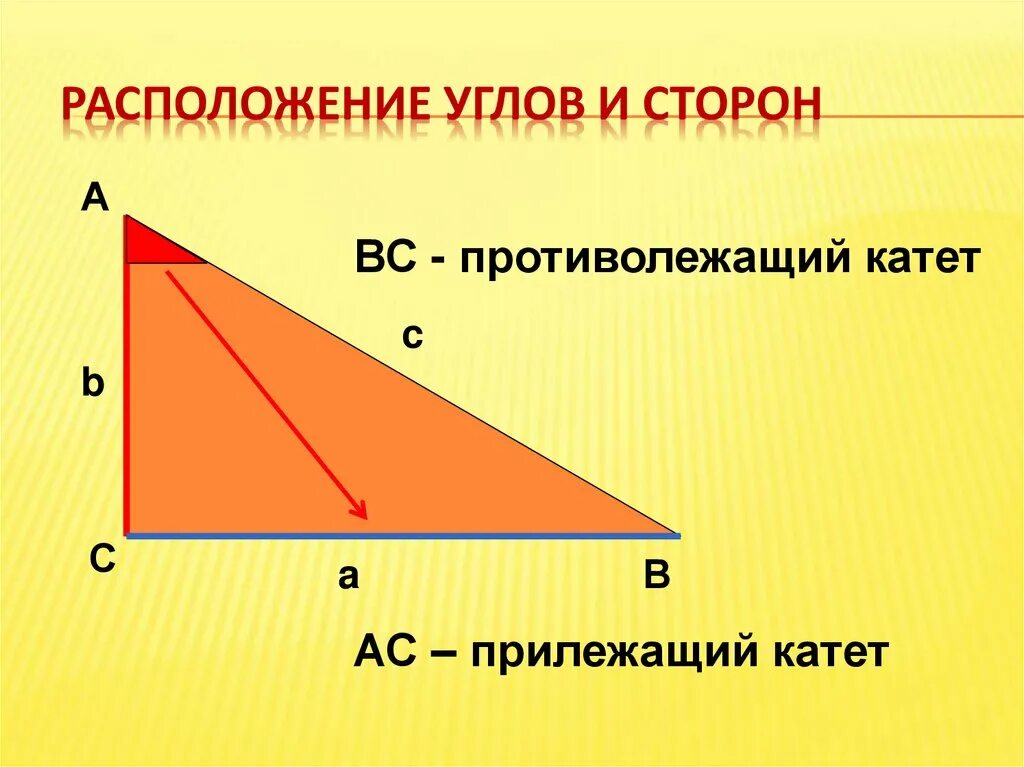 Какие стороны прилежащие. Прилежащие и противолежащие стороны треугольника. косинусои острого угла прямокгольного трек. угол противолежащий стороне. противолежащий катет.