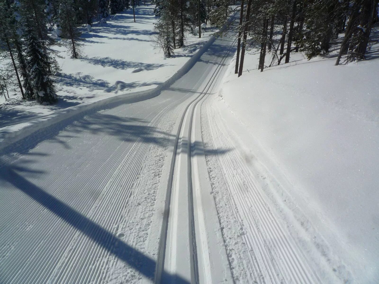 Skiing track. Трасса для беговых лыж. Лыжные трассы для беговых лыж. Беговая Лыжня. Лыжня для беговых лыж.