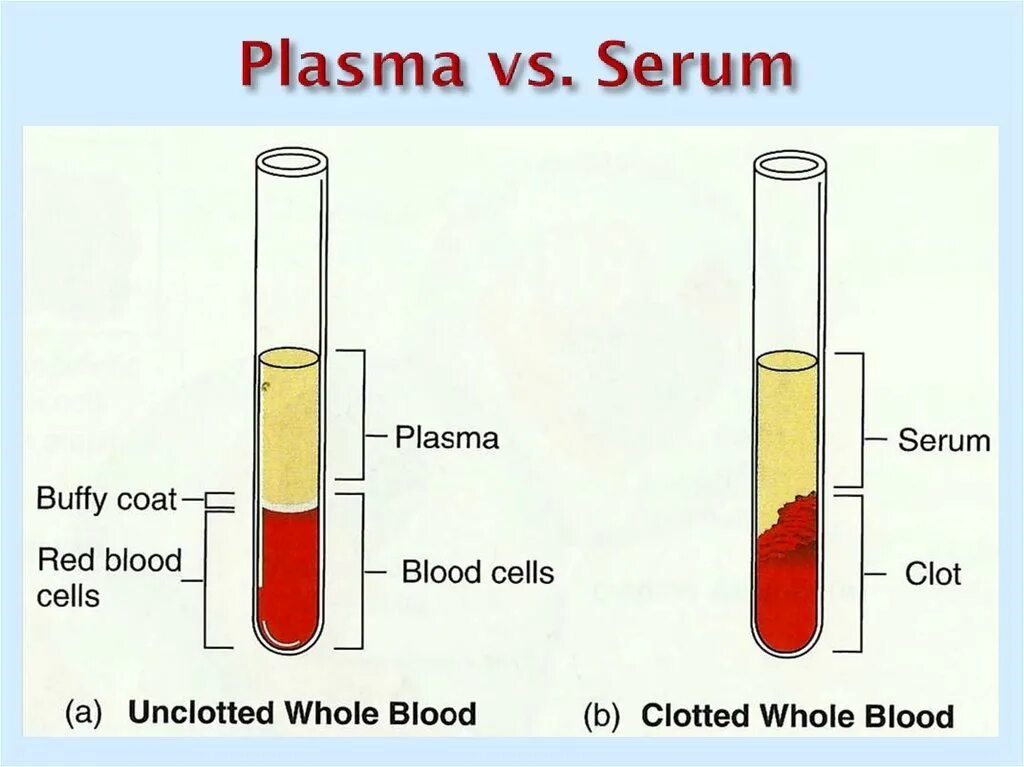 Plasma Serum. Сыворотка крови. Blood Plasma. Высокотемпературная плазма. Т4 сыворотка крови