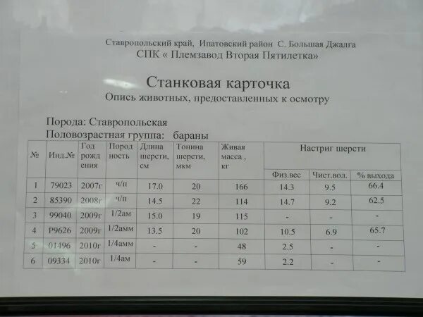 Автобус лиски 2 пятилетка. Расписание маршруток Ставрополь.