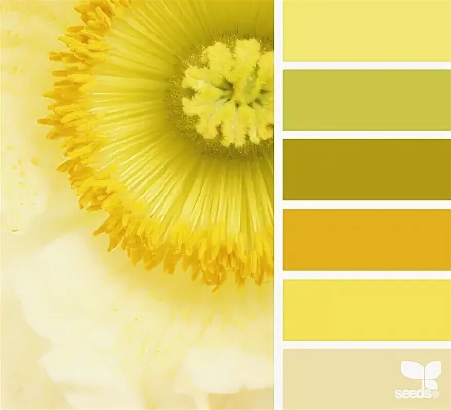 Yellow Pastel Tone
