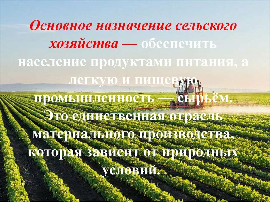 Особенности сельского хозяйства в экономике страны. Особенности сельского хозяйства в экономике страны