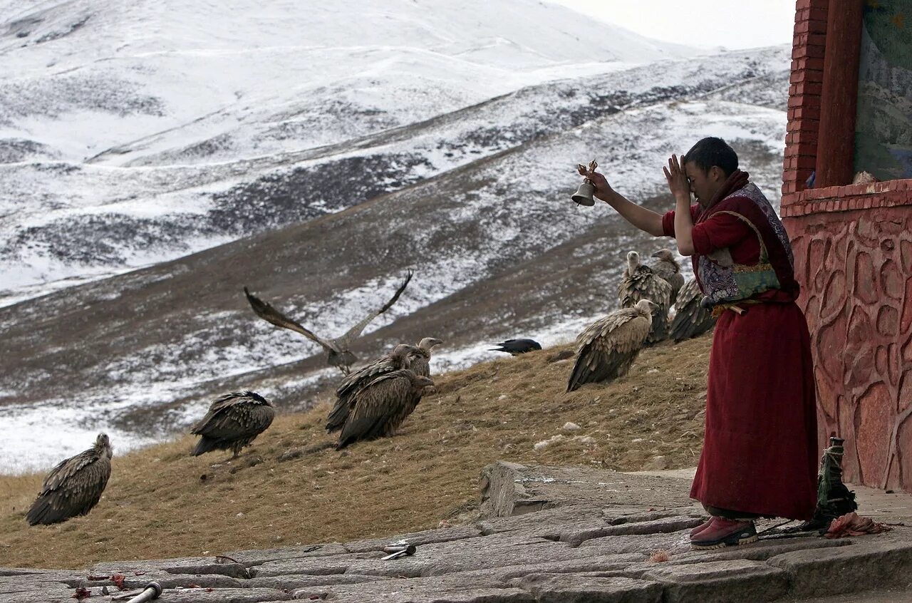 Amaarae angels in tibet