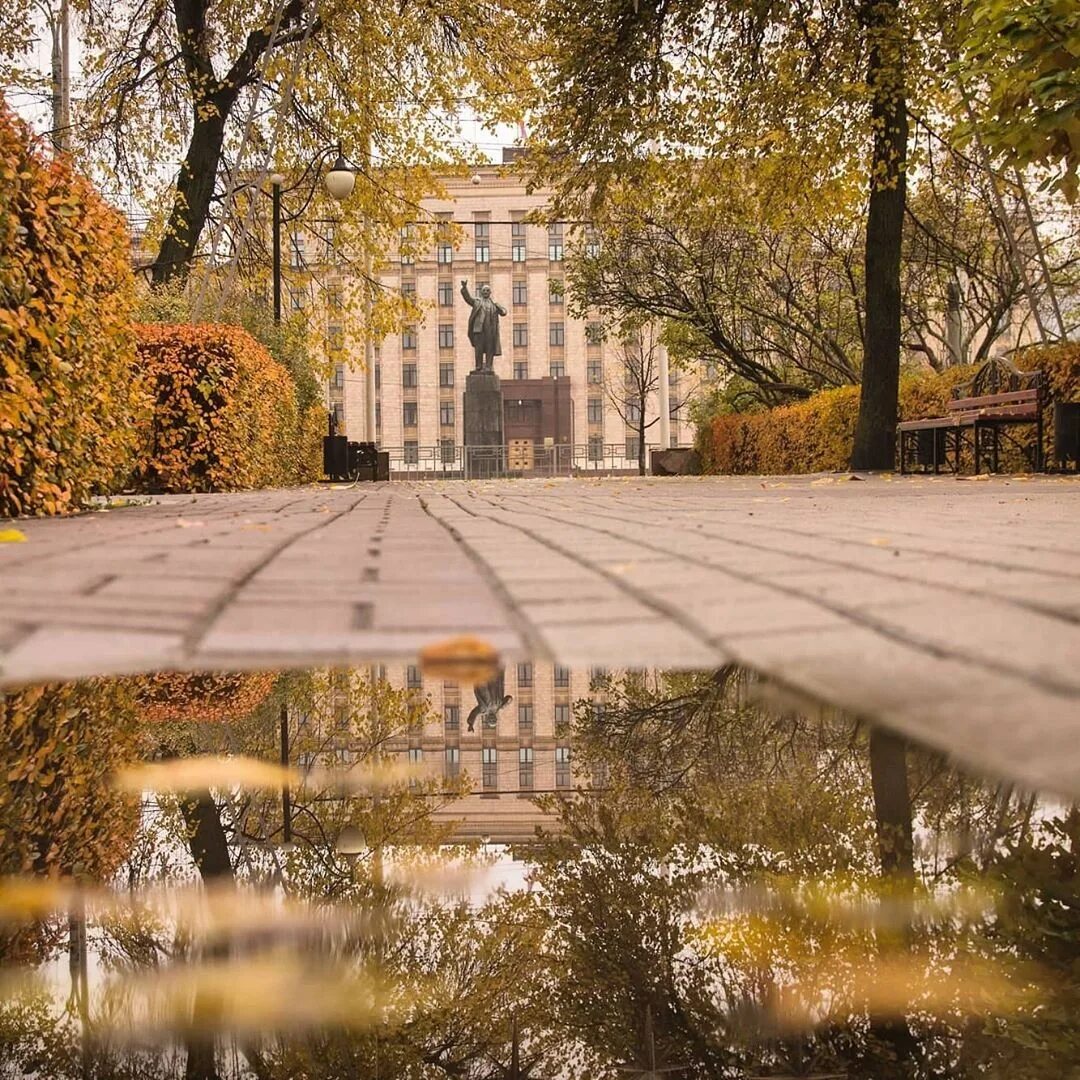 Золотая осень в воронеже. Осень в воронеже фото. Воронеж осенью. Красивые места в воронеже осенью. Староживотинное осенью воронеже.