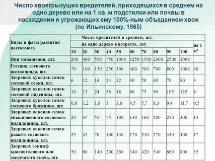 Численность сосново