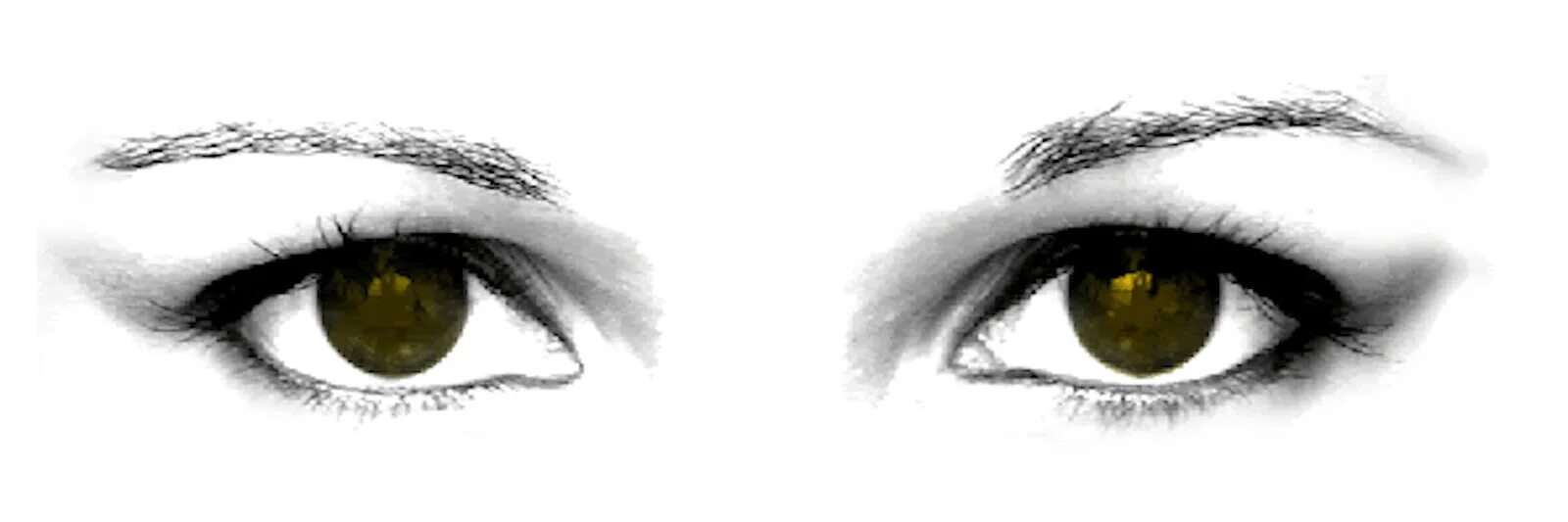 Eye search