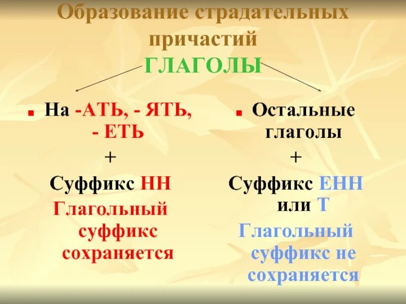 Суффиксы деепричастий прошедшего времени. Перед вш пишется. Суффиксы действительных причастий прошедшего времени. Образование действительных причастий прошедшего времени. Перед вш пишется.