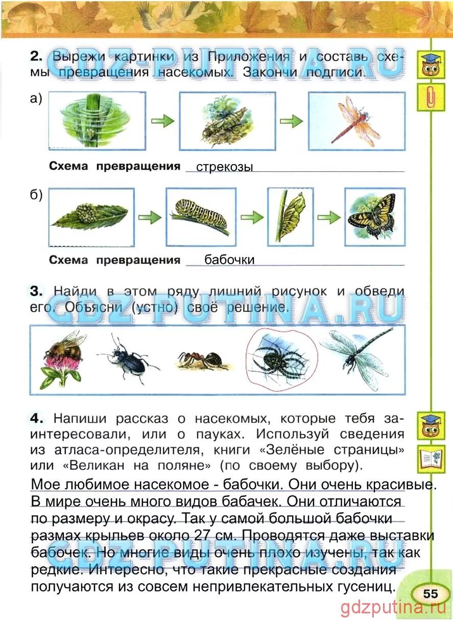 Составить рассказ по окружающему миру 2 класс. Окружающий мир 2 класс рабочая тетрадь Плешаков насекомые. Рабочая тетрадь 1 часть 1 класс Плешаков насекомые. Насекомые окружающий мир 2 класс рабочая тетрадь. Окружающий мир 2 класс рабочая тетрадь страница 7 Плешаков Новицкая.