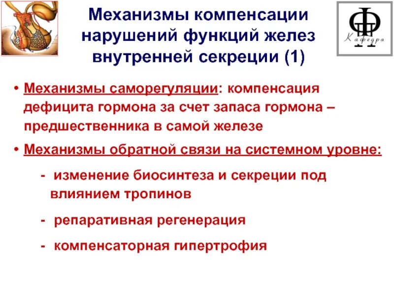 Привести к нарушению функционирования. Механизмы компенсации нарушений функций желез внутренней секреции. Механизмы компенсации нарушений функций эндокринных желез. Механизмы компенсации функций. Эндокринные железы патофизиология.