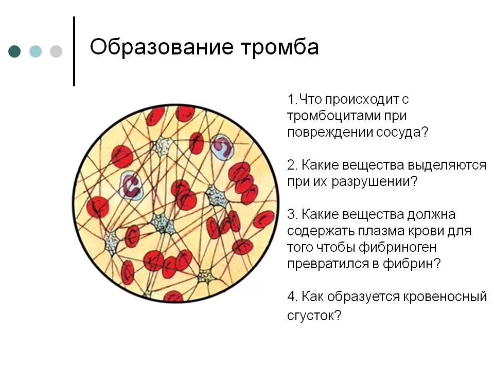 Тромбы в сосудах причины