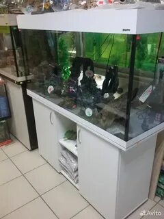 Зоомагазин псков