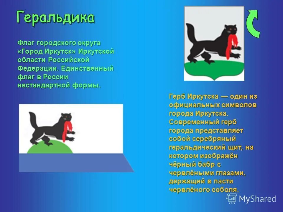 Животное бабр на гербе иркутска. Бабр на флаге иркутска. Что представляет собой современный герб иркутска. Гербы городов сибири. Что представляет собой современный герб иркутска.