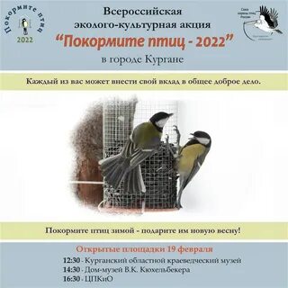 Всероссийская акция покормите птиц