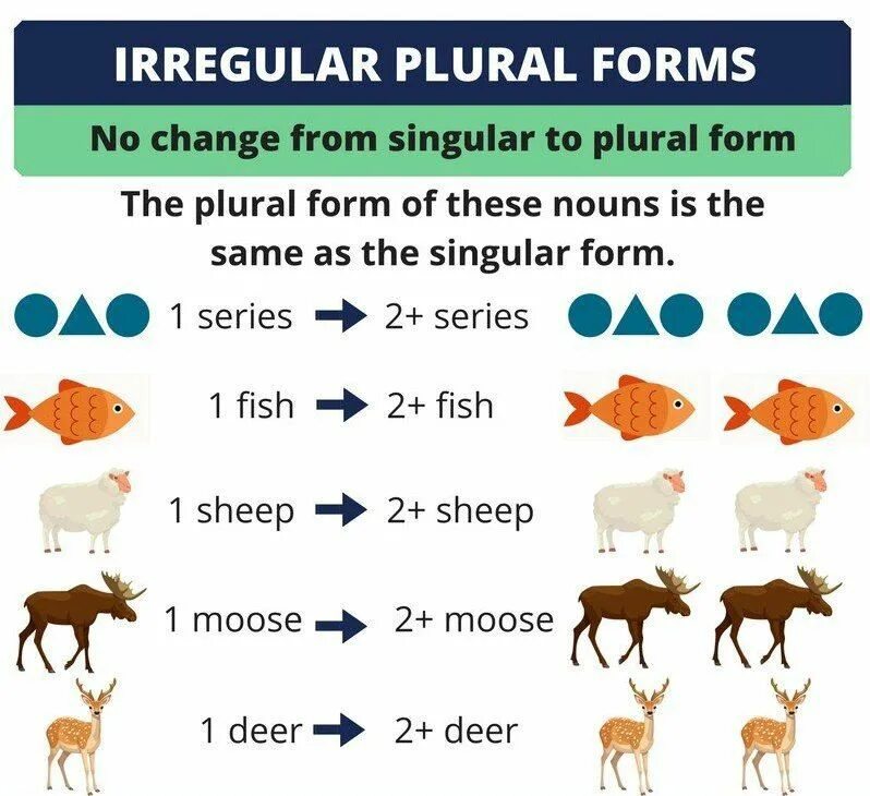 Plural forms of Nouns исключения. Irregular plurals таблица. Plural Nouns in English. Irregular plural forms of Nouns.