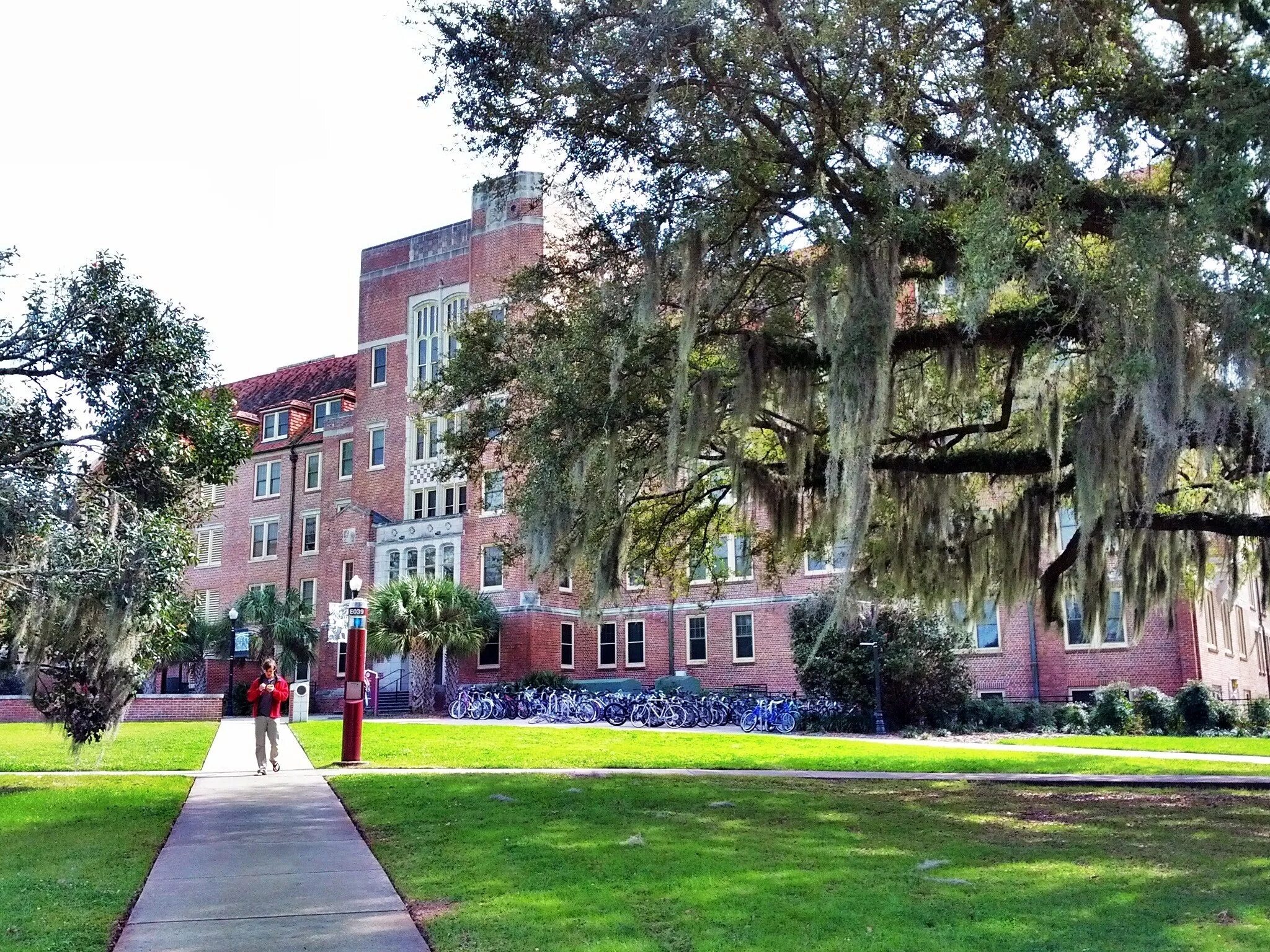 Кампус University of Florida. Спортивный университет Temple University Флорида. Мемориальный университет Флориды. Архитектурный институт Флориды.