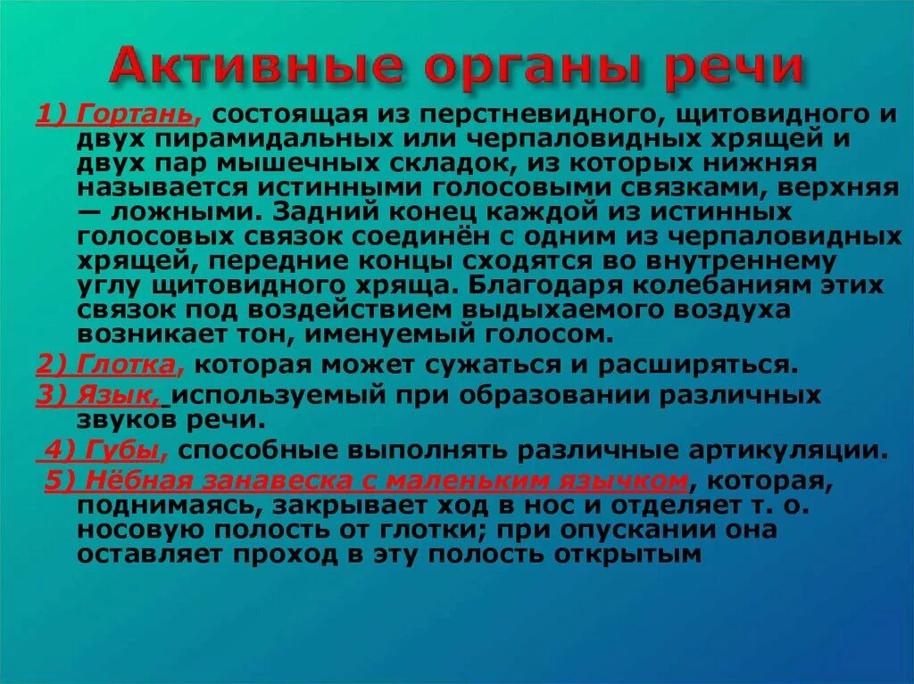 Образование звуков языка. Активные органы речи. Активные и пассивные речевые органы. К пассивным органам речи относятся. Пассивные органы речи.