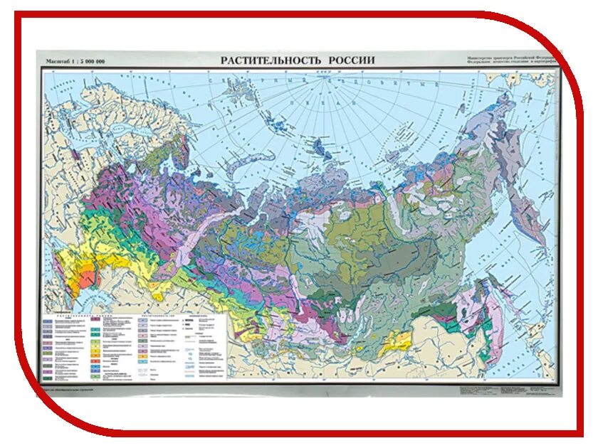 Растительная карта россии. РКАРТА растительности Росси. Карта растительности Росси. Карта растительности России атлас. Карта типов растительности России.