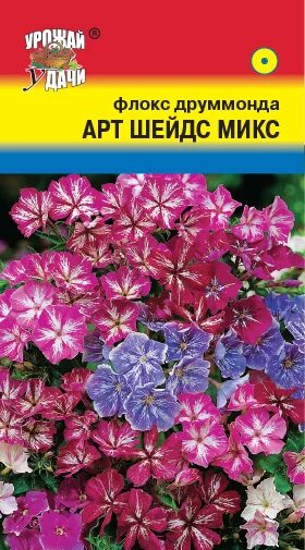 Флокс друммонда арт шейдс. Флокс арт шейдс микс. Флокс арт шейдс микс. Флокс арт шейдс микс. Флокс фрекл пепл шейдз.