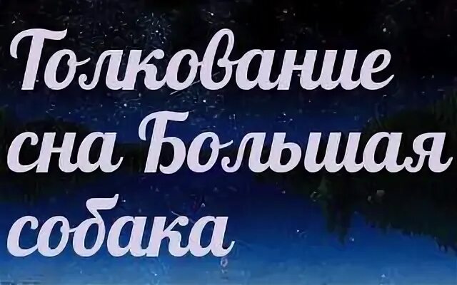 К чему снится собака во сне. Приснилась собака к чему. К чему снятся собаки женщине злые. К чему снится собака женщине большая злая. К чему кусает собака во сне.