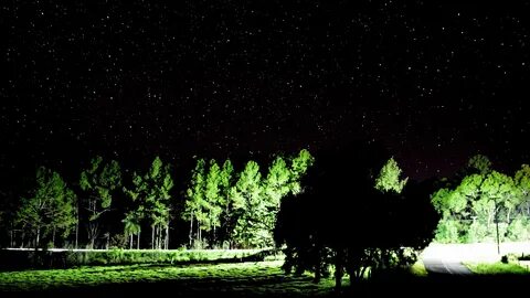Green night
