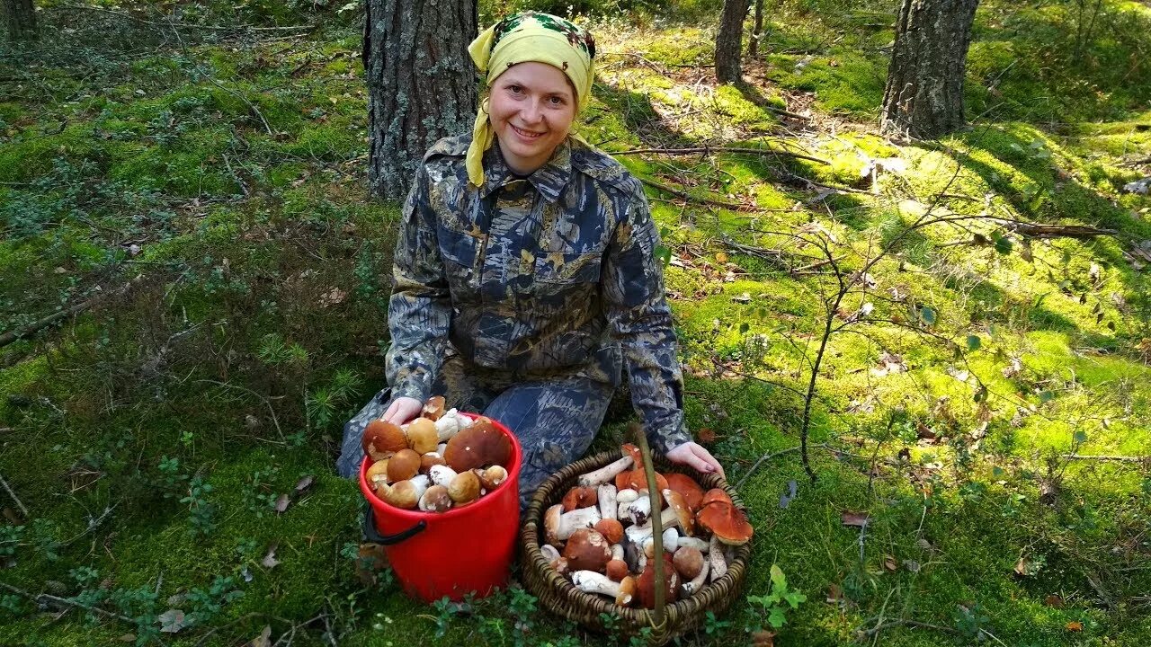 Тихая охота грибы. Поход в лес за грибами. Сбор грибов в лесу. Девушка грибник.