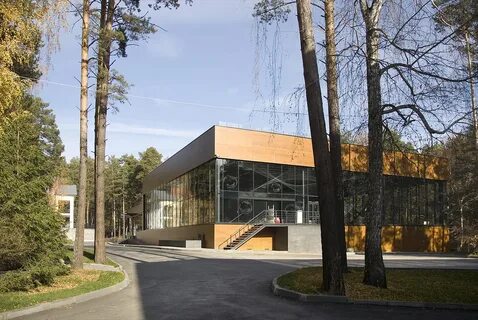 Сосновка дизайн