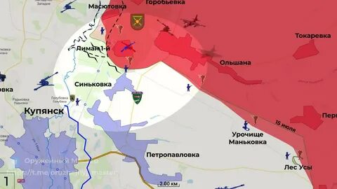 Бои за синьковку 2023