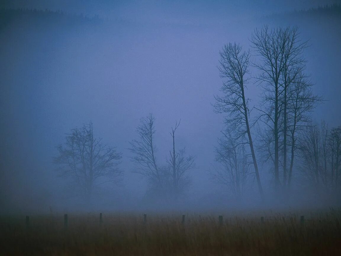 Утренний туман в деревне. Туман рене burusi. Мгла поля покрыла. Жуткое поле. Мгла поля покрыла.