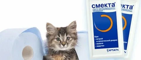 Смекта котенку 2 месяца