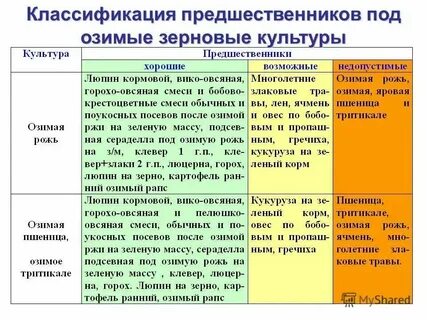 Предшественники озимых культур