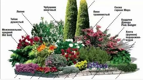 Цветник разбор