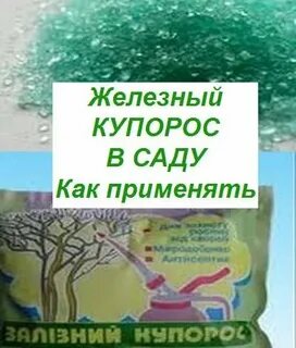 Железный купорос для обработки плодовых деревьев весной