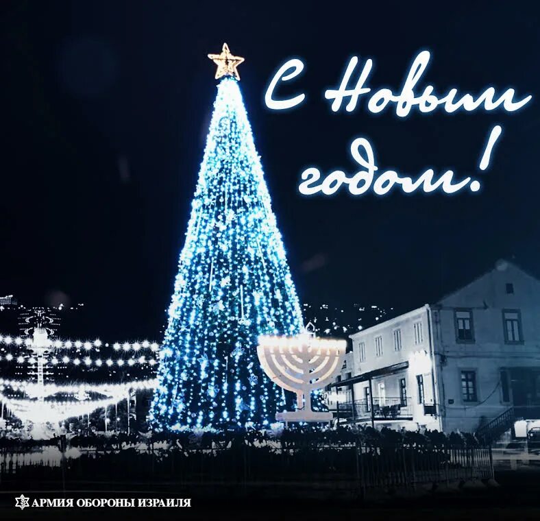 Еврейская новогодняя елка. Израильский новый год открытки. Рождество христово иерусалим. Рождество в иерусалиме в вифлееме. Новый год в израиле открытки.