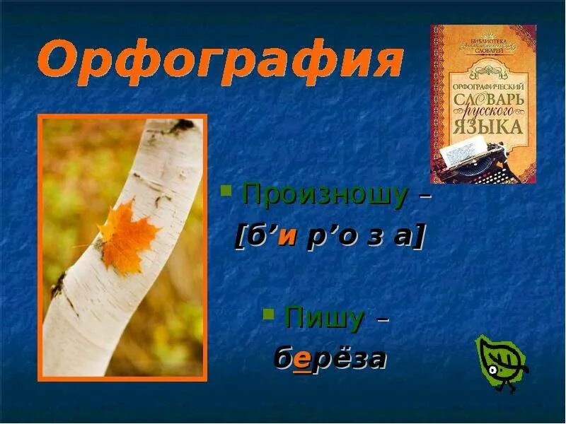 Как пишется березка. Как пишется слово берёза. Берёза правописание. Как пишется слова б Ре зка. Береза написание слова.