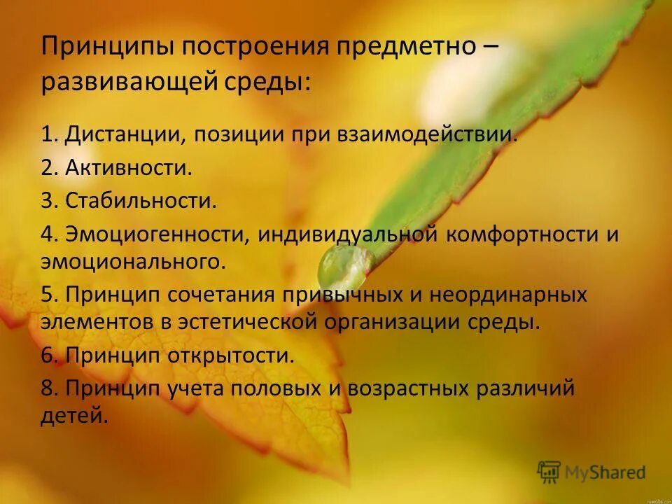 Принципы построения предметно развивающей среды. Принципы построения предметно развивающей среды