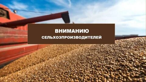 Как погасить фгис зерно
