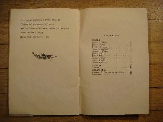 Воскресенье сколько страниц в книге. Толстой липунюшка сколько страниц. липунюшка толстой количество страниц. липунюшка толстой читать. л н толстой сколько страниц липунюшка.