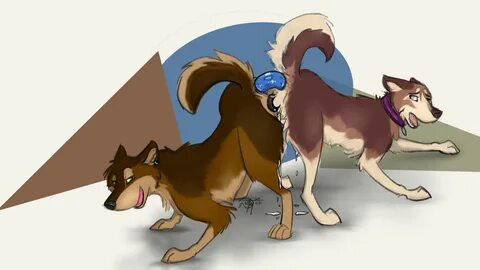 Slideshow realistic wolf costume for sale.