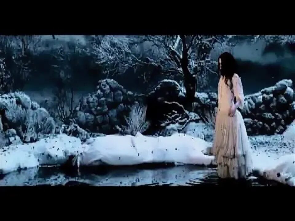 Evanescence lithium текст. Эванесенс литиум. духи evanescence. evanescence lithium live.