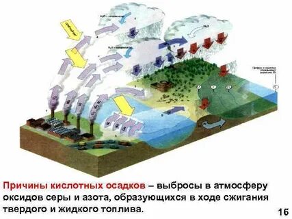 Механизм появления кислотных дождей