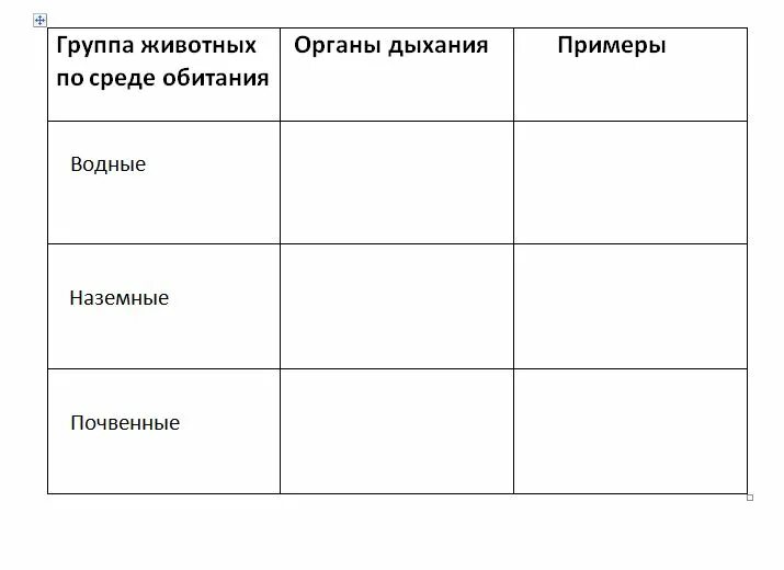 Заполни таблицу дыхание растений. Таблица органы дыхания животных 6 класс биология. Заполни таблицу органы дыхания животных. Заполните таблицу дыхание животных. Заполните таблицу органы дыхания животных.