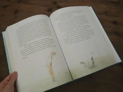 Книга 11 дней