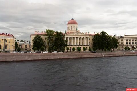 Пушкинский дом на ютубе