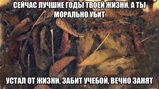 Перед тем как он убьет