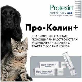 Про колин