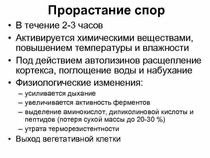 Корень способен к ветвлению. Прорастание споры бактерий. При прорастании семени первым развивается зародышевый. Строение мха спорофит гаметофит. Прорастание споры микробиология.